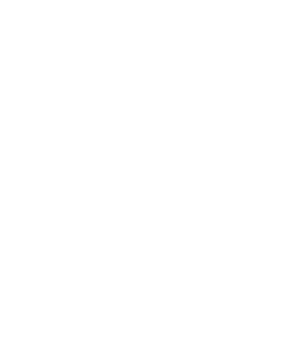 RIVINS logo